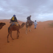 marokko-kameeltocht-zandduinen-woestijnlandschap