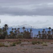 marokko-palmvallei-sneeuw-atlasgebergte